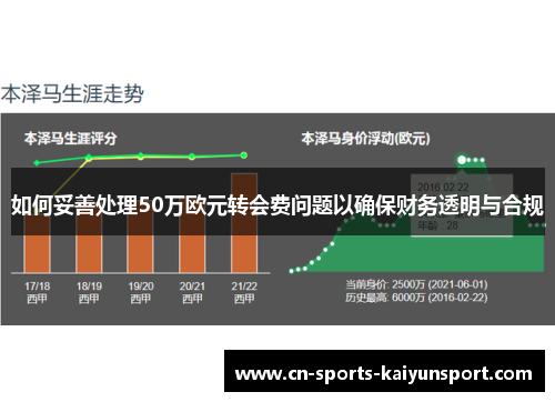 如何妥善处理50万欧元转会费问题以确保财务透明与合规