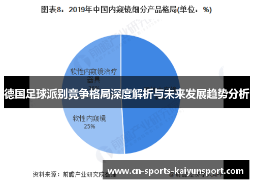 德国足球派别竞争格局深度解析与未来发展趋势分析