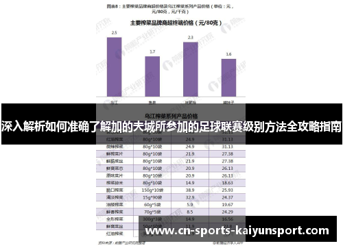 深入解析如何准确了解加的夫城所参加的足球联赛级别方法全攻略指南