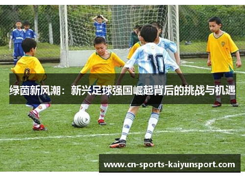绿茵新风潮：新兴足球强国崛起背后的挑战与机遇