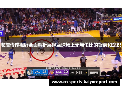 老詹传球视野全面解析展现篮球场上无与伦比的智商和意识