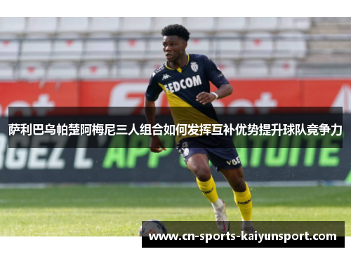 萨利巴乌帕楚阿梅尼三人组合如何发挥互补优势提升球队竞争力